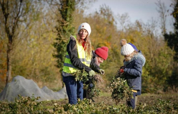 en Charente-Maritime, le succès des projets participatifs dans les exploitations agricoles