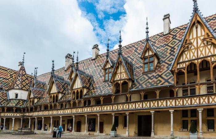 Les Hospices de Beaune se convertissent au bio face à l’adversité