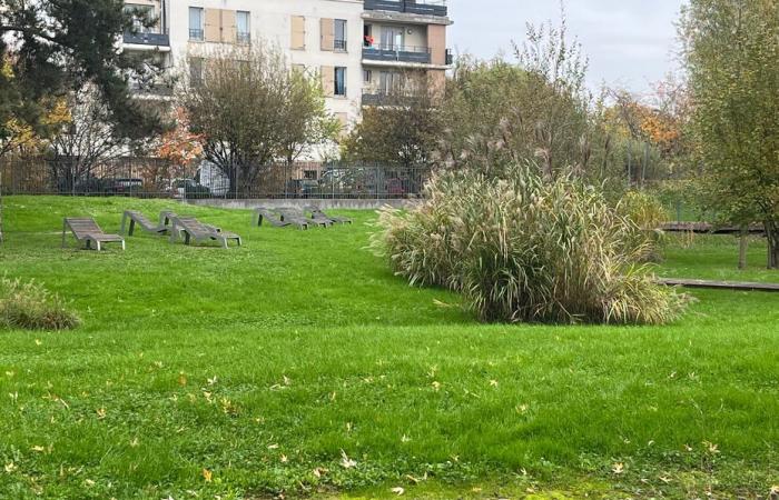 RELATION. Inondations, débordements de la Seine… Le Grand Paris est-il prêt à affronter des pluies torrentielles comme en Espagne ?