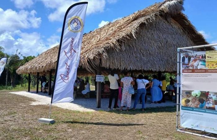 une exposition pour valoriser les projets du programme LEADER en Occident Guyanais