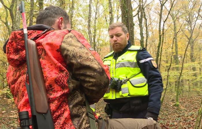 En pleine chasse à la bécasse, les chasseurs visés par un contrôle approfondi