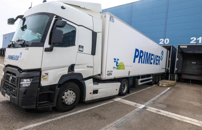 Primver déploie son activité à l’international au terminal fruitier du port de Sète (Hérault)