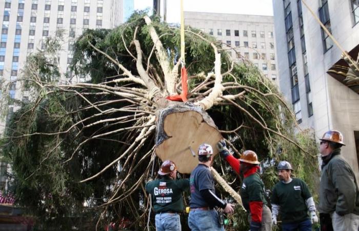 le célèbre sapin de Noël géant du Rockefeller Center de New York est arrivé