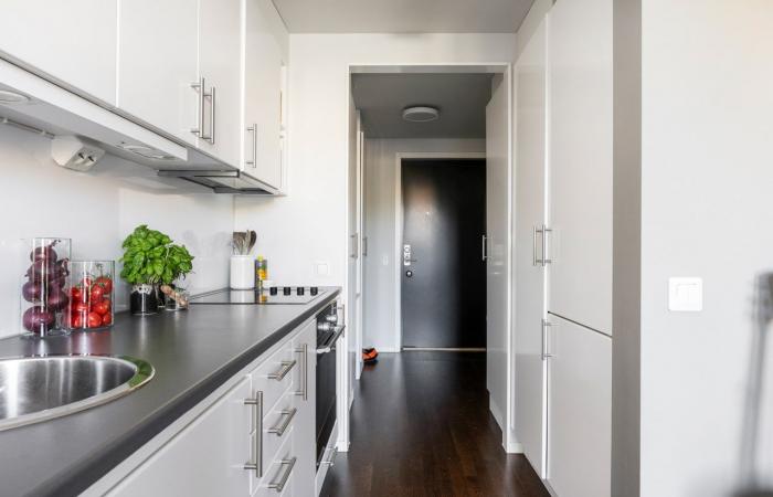 Un studio contemporain de 33m2 avec alcôve