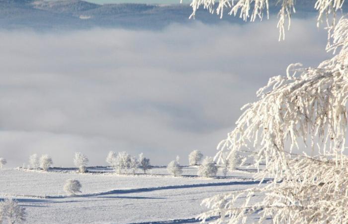 Occitanie. La neige pourrait bientôt tomber en abondance dans ce département éloigné des Pyrénées