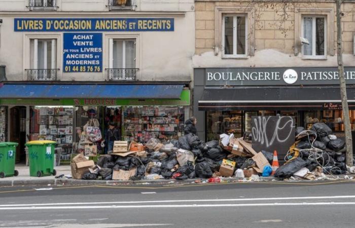 30 000 tonnes de déchets sont ramassées chaque année dans les rues de Paris