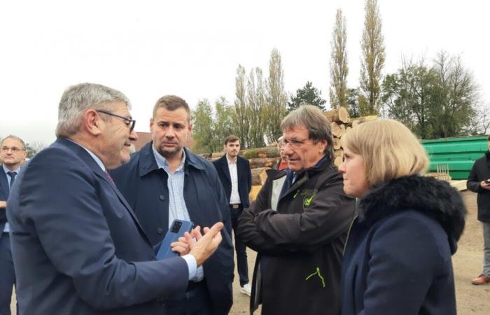 comment cette scierie jurassienne se réinvente pour devenir leader du marché