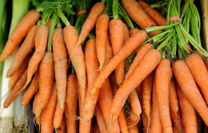 un décès et plusieurs hospitalisations dus à des carottes contaminées à E. coli