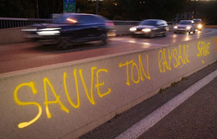 ronds-points, routes, préfectures, démontage des panneaux… quelle mobilisation en Lorraine ce lundi 18 novembre