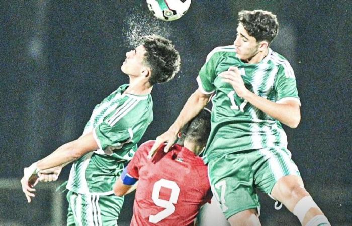 Les verts gagnent enfin un match ! (vidéo)