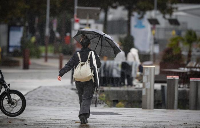 Fortes rafales, pluie, neige jusqu’en plaine… A quoi faut-il s’attendre d’ici la fin de la semaine ?