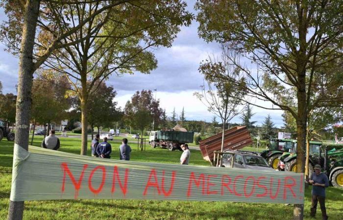 “Nous utiliserons les moyens nécessaires, tant pis pour les conséquences”, des dizaines de tracteurs ont atteint la préfecture du Gers