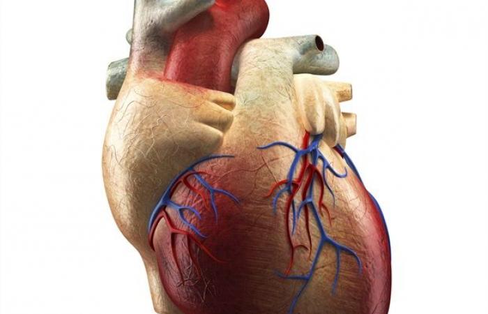 Le dispositif Aeson de CARMAT monte en puissance en Europe comme solution de transition vers la transplantation