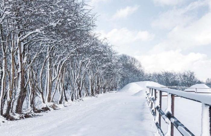 les prévisions sont claires, la neige arrive cette semaine