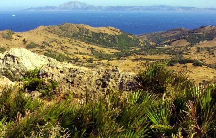 La Méditerranée a perdu 70 % de son eau il y a 5,5 millions d’années