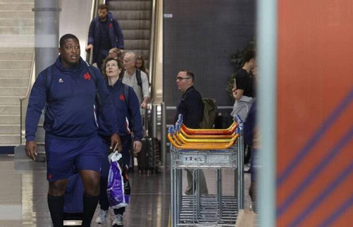 XV de France. Contre les All Blacks, Georges-Henri Colombe a joué 70 minutes avec gastro