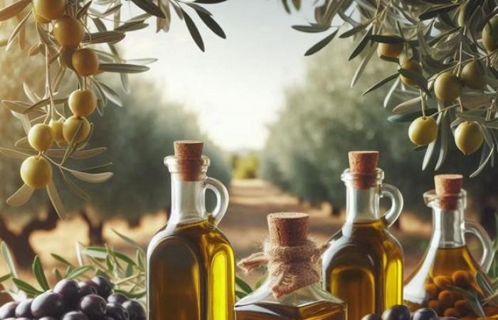 Les prix de l’huile d’olive sont surveillés de plus près par Bruxelles