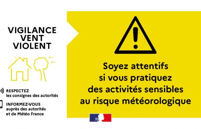 SMS de Vigilance Jaune « Vent » du mardi 19 à 20h au mercredi 20 novembre 2024 à 18h – Vigilance météo – Risques naturels – Prévention des risques – Transition écologique, environnement et prévention des risques – Actions de l’État