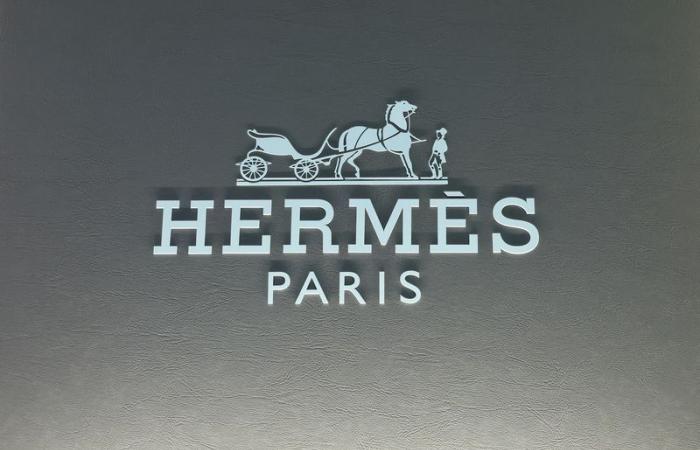 Analyst opinions of the day: Hermès, Air Liquide, Thales, ArgenX, Worldline, Soitec, Viridien…