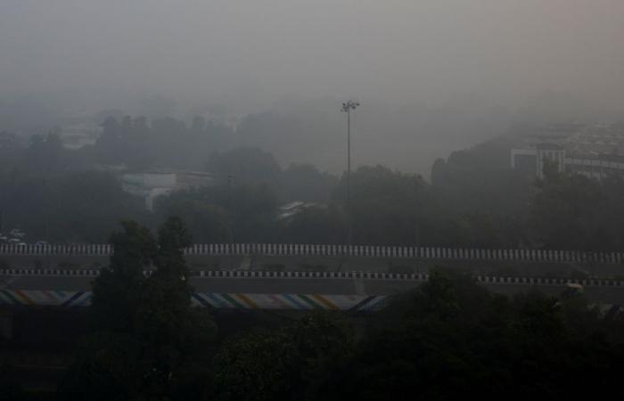 La majorité des écoles de New Delhi fermées à cause de la pollution