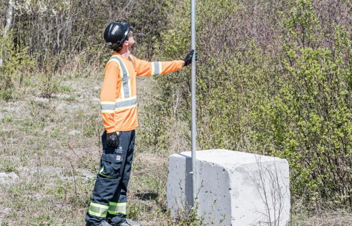 Voler au secours des… chauves-souris