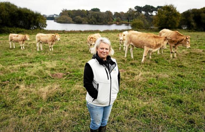 Le parc naturel régional du Golfe du Morbihan, qu’est-ce que ça change pour les habitants ?