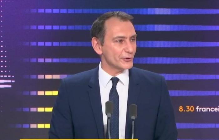 Emmanuel Macron “n’a pas le pouvoir d’arrêter” l’accord entre l’UE et le Mercosur, selon Laurent Jacobelli, porte-parole du RN