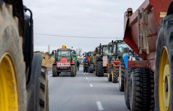 avant le blocage de l’autoroute A9 et de la frontière espagnole, « 85 points de manifestation » du Var au Calvados