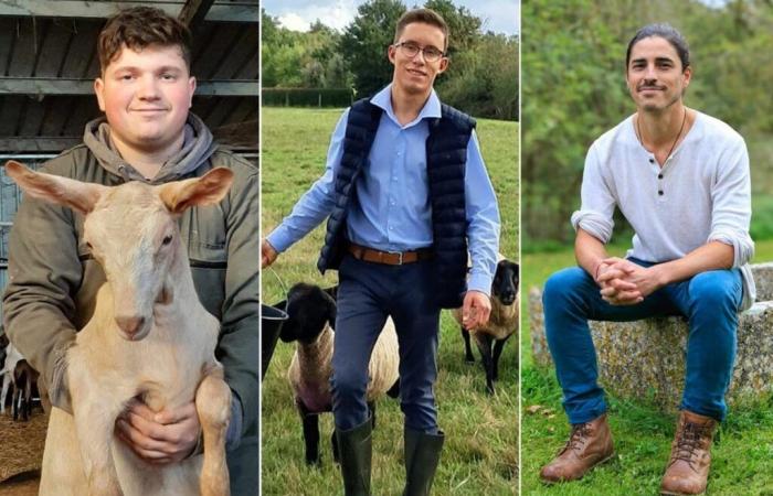 Voici les visages et parcours des trois agriculteurs charentais en lice au concours Mister France Agricole