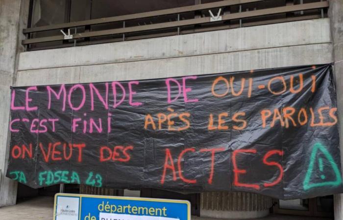 Des agriculteurs de Haute-Loire expriment leur colère au Puy-en-Velay (vidéos)