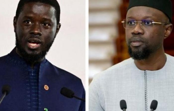 « Pour éviter la dualité au sommet de l’Etat, Sonko doit être président de l’Assemblée »