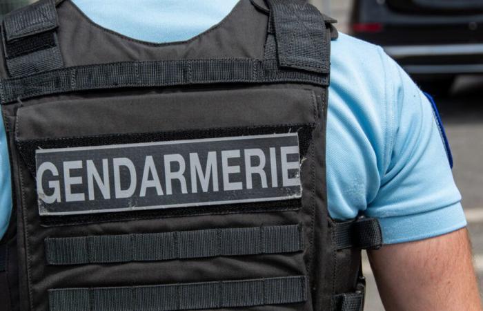 un adolescent de 17 ans abattu après une rixe en centre-ville de Rumilly