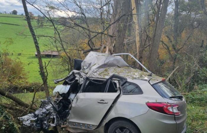 un quadragénaire du Rhône perd la vie en Roannais