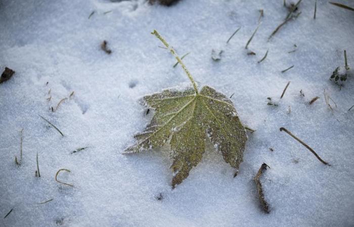 Mardi, le temps sera orageux – puis la neige tombera « jusqu’en bas »