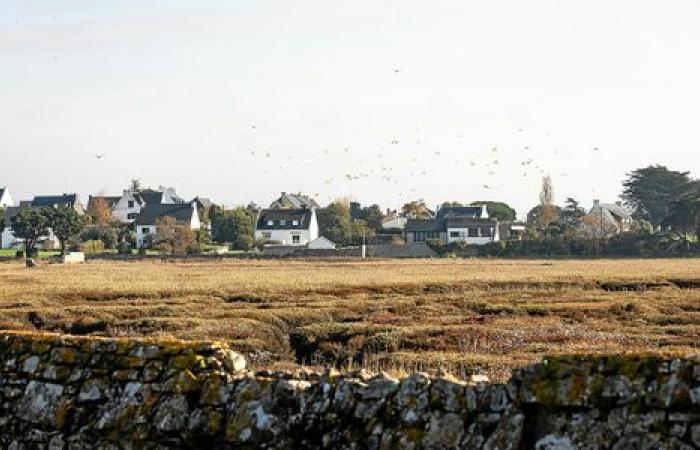 Le parc naturel régional du Golfe du Morbihan, qu’est-ce que ça change pour les habitants ?