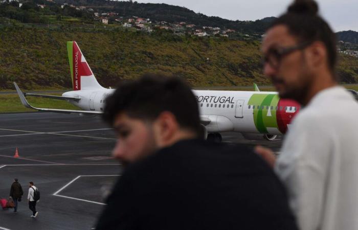 Airbus immobilisé au sol après la fuite de 132 hamsters