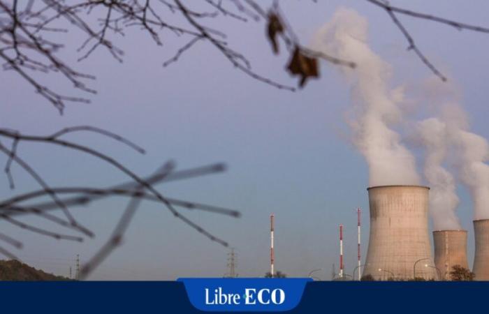 La « pépite nucléaire » veut investir en Belgique