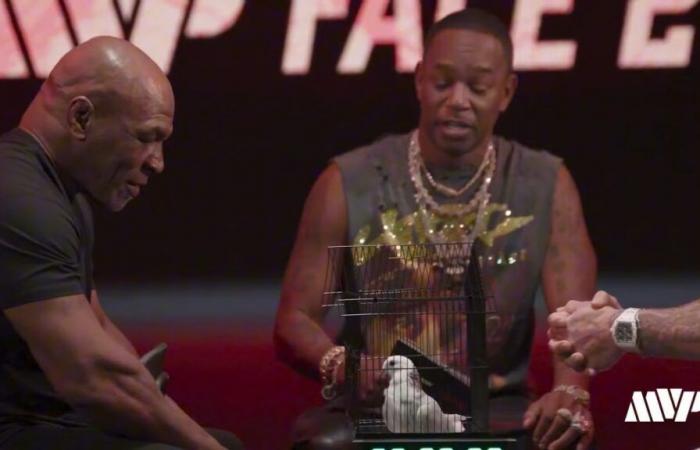 L’incident bizarre dans les coulisses de la bagarre entre Jake Paul et Mike Tyson impliquant un pigeon. –