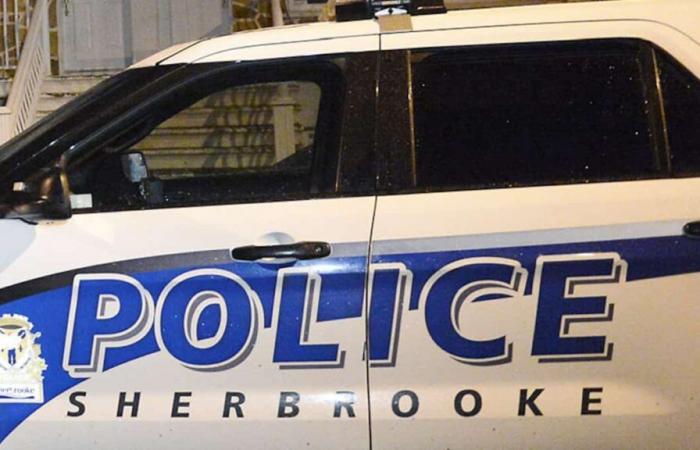 Un homme incitant la foule à attaquer les policiers arrêté à Sherbrooke