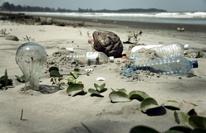 Un rapport parlementaire alerte sur le véritable prix du plastique pour la société