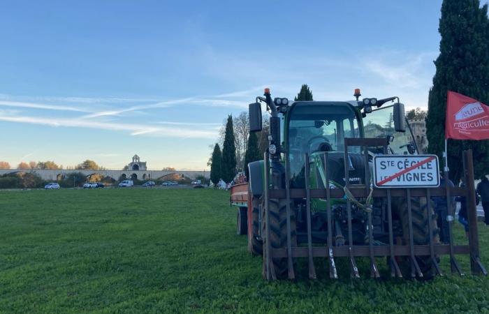 « notre fin sera ta faim » des dizaines de tracteurs rassemblés à Avignon