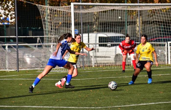 D3F. Grenoble s’effraie mais gagne