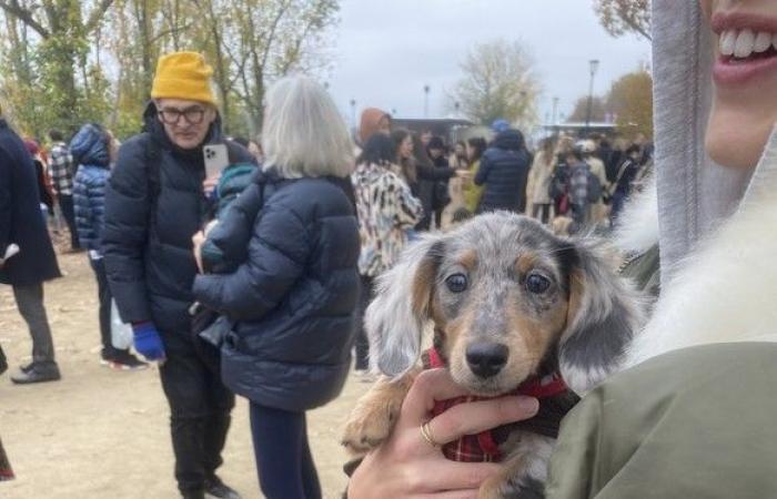 « Paris Sausage Walk 2024 » : 500 teckels défilés