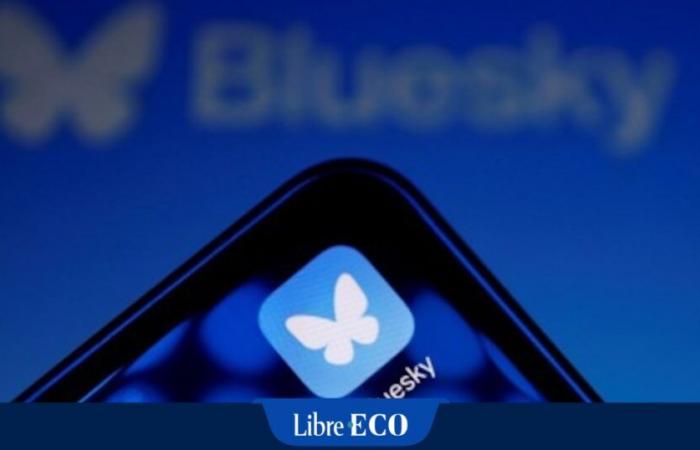 Qu’est-ce que Bluesky, la plateforme qui a gagné des millions d’utilisateurs depuis l’élection présidentielle américaine