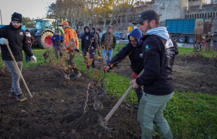 vignes plantées, communes renommées, plus de 80 actions symboliques lancées en France