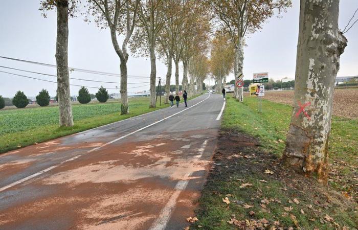 qui sont les cinq victimes du drame routier à Gaillac ?