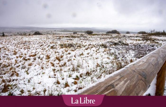 voici où et quand les premières chutes de neige sont attendues cette semaine