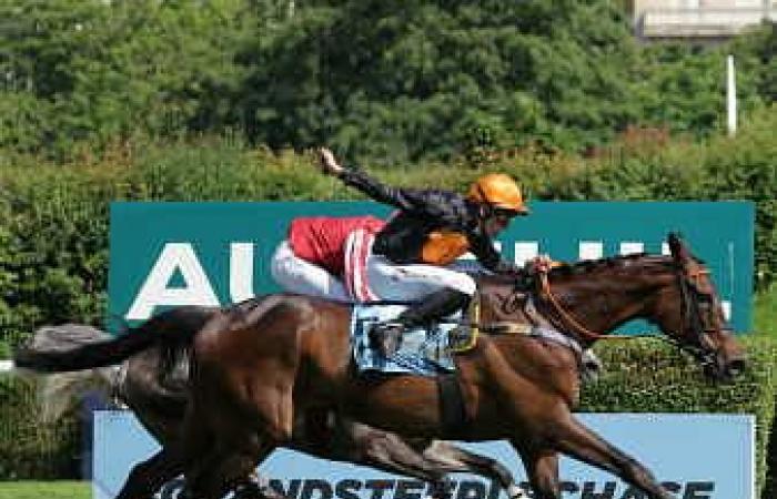 Gran Diose realizza la doppia Grand Steeple-Chase de Paris – Prix La Haye Jousselin – Jumping