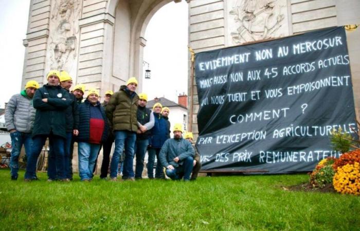 la Coordination rurale de la Marne veut marquer sa différence avec la FNSEA