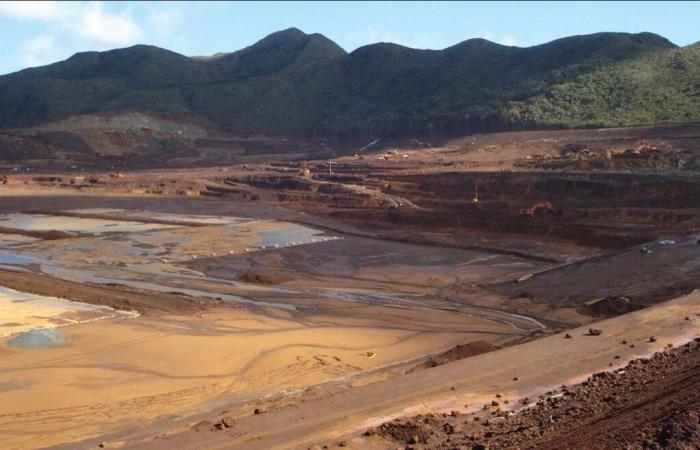 les ravages écologiques de l’or vert